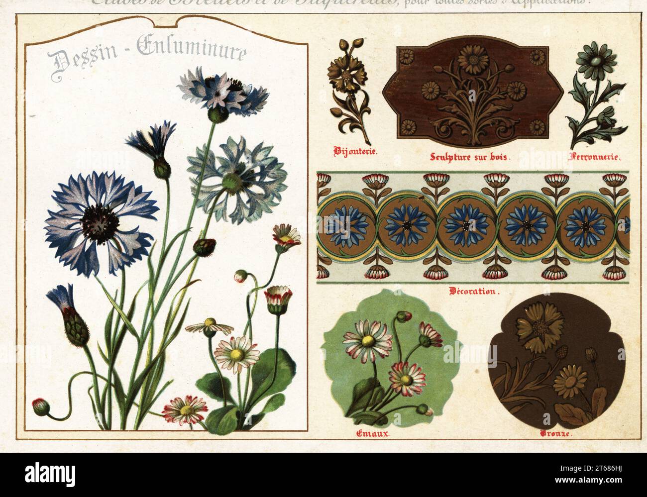 Images of daisies and cornflowers from manuscripts and their applications in wood sculpture, jewelry, enamel, bronze, and ironwork. Chromolithograph designed and lithographed by Ernst Guillot from his Flowers After Nature and Ornamental Flowers, Fleurs d`apres Nature et fleurs ornementales, Paris, 1890. Stock Photo